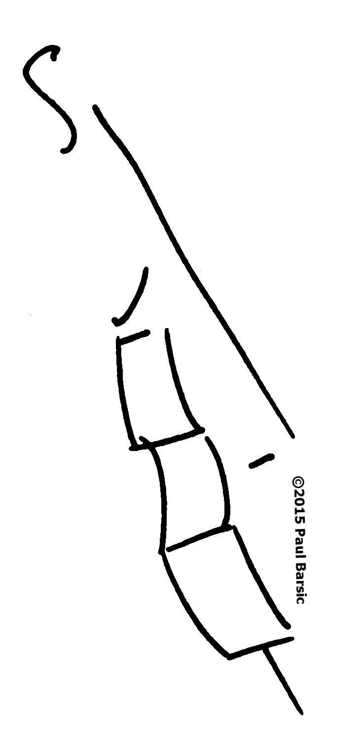 Paul Barsic Logo